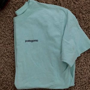 Patagonia Tshirt